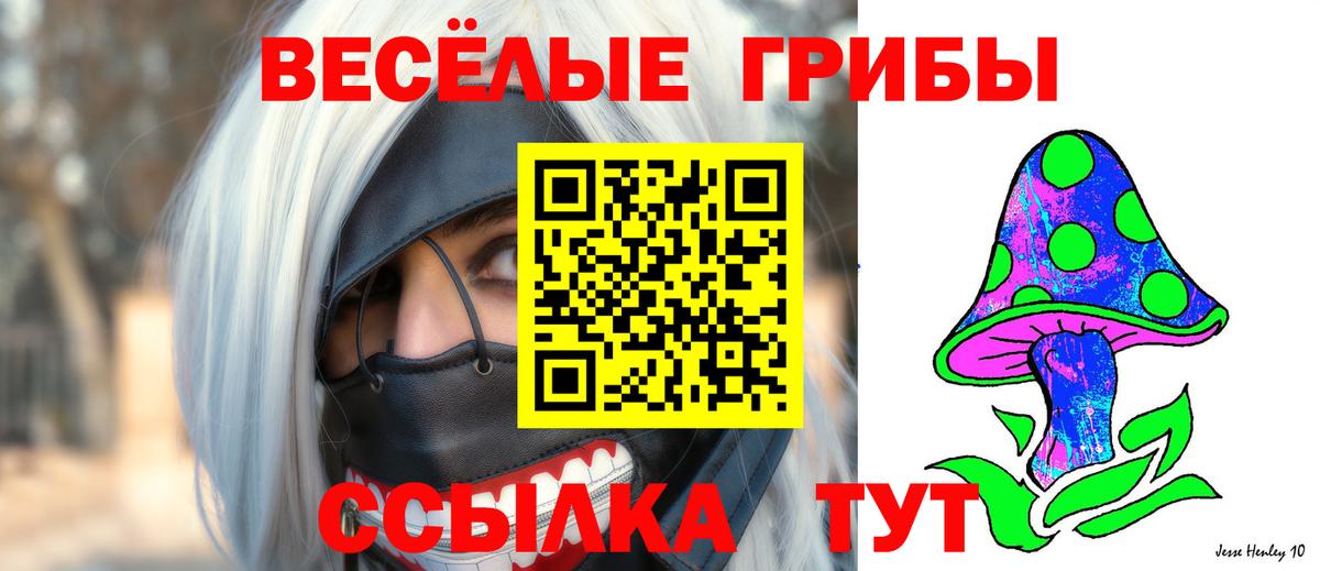 Валуйки  Галлюциногенные грибы Psilocybe  Вход с VPN 
